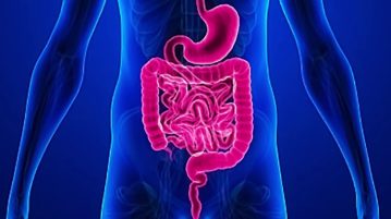 Finding a Cause And Cure For Celiac Disease