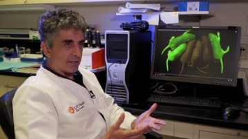 Jellyfish Help Screen for Cancer: Medicine’s Next Big Thing?