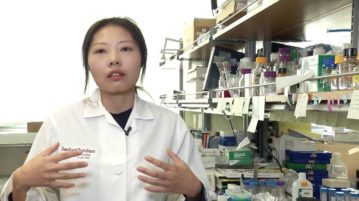 Growing New Blood Vessels: Medicine’s Next Big Thing?
