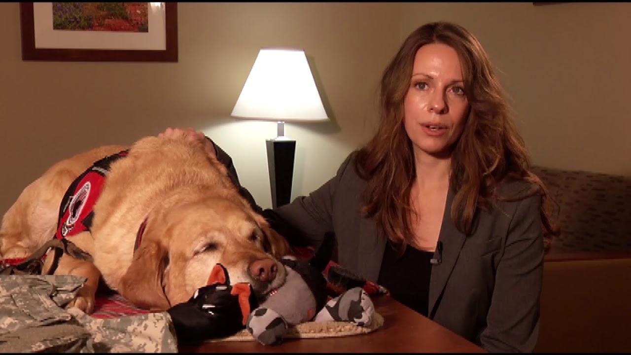 Benefits of Being a Dog Owner Ivanhoe Broadcast News, Inc.