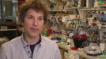 Gene Gun Shoots Down All Flu Strains?