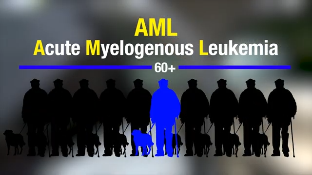 Beat Aml Ivanhoe Broadcast News Inc Beat Aml Ivanhoe Broadcast News Inc
