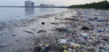 Invisible Invaders: Microplastics In Your Meals
