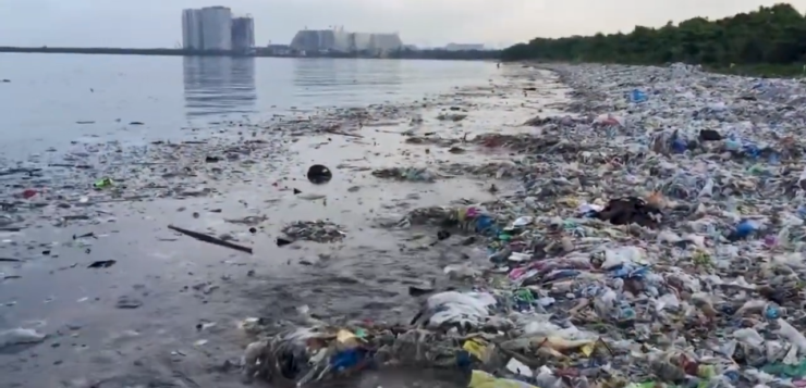 Invisible Invaders: Microplastics In Your Meals