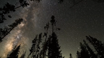 Stargazer Spectacle: Perseids Are Back August 12th & 13th