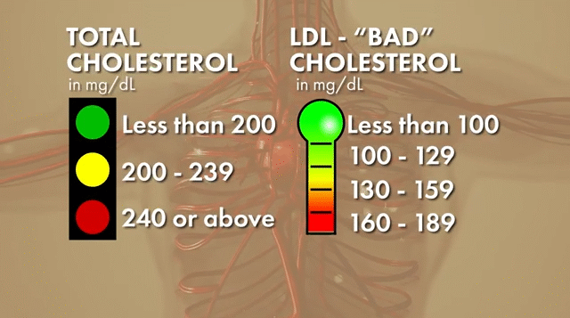 Clearing Up the Cholesterol Confusion