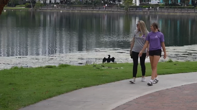 Brain Surgery Before High School