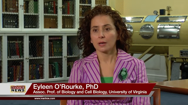 What Causes Weight Gain?