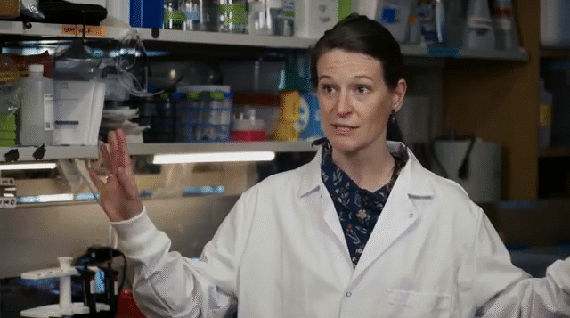 Shedding Light on Allergies