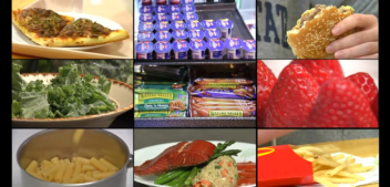 Foods That Fuel: Avoiding the Energy Crash Trap