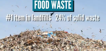 Earth Day: What Helps And What Doesn’t?