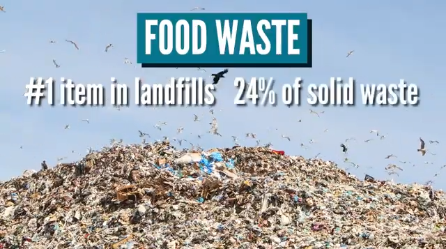 Earth Day: What Helps And What Doesn’t?