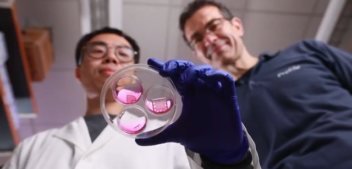 Gene Therapy Heals Broken Hearts: No Surgery Needed!