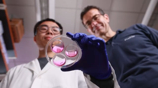 Gene Therapy Heals Broken Hearts: No Surgery Needed!