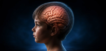 New Brain Secrets Uncovered